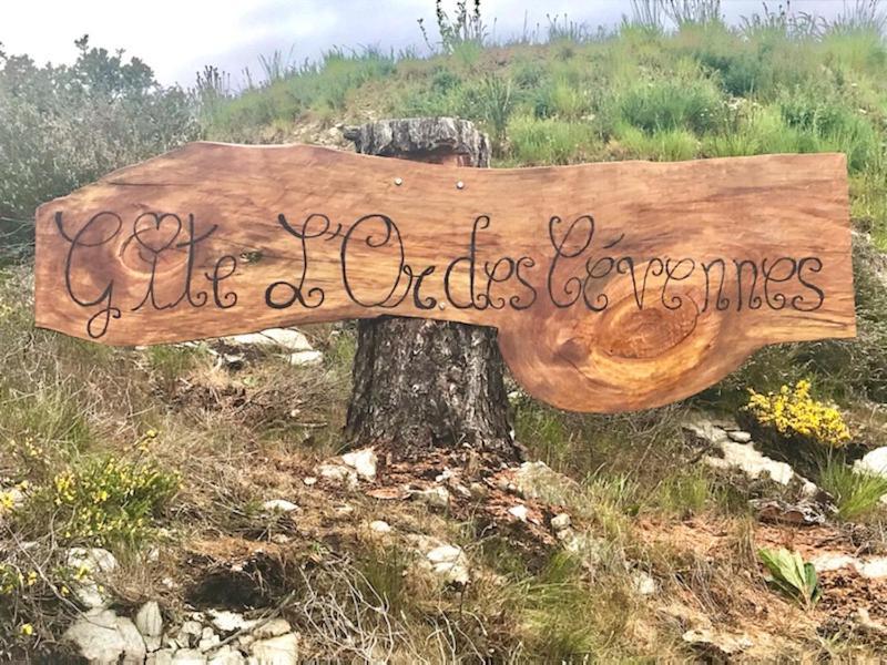 Gite L'Or Des Cevennes Saint-Andre-Capceze エクステリア 写真