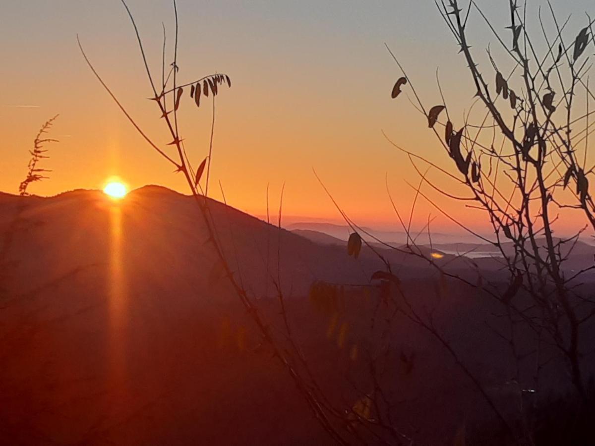 Gite L'Or Des Cevennes Saint-Andre-Capceze エクステリア 写真