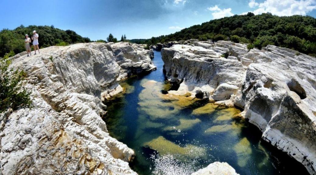 Gite L'Or Des Cevennes Saint-Andre-Capceze エクステリア 写真