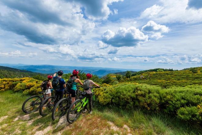 Gite L'Or Des Cevennes Saint-Andre-Capceze エクステリア 写真