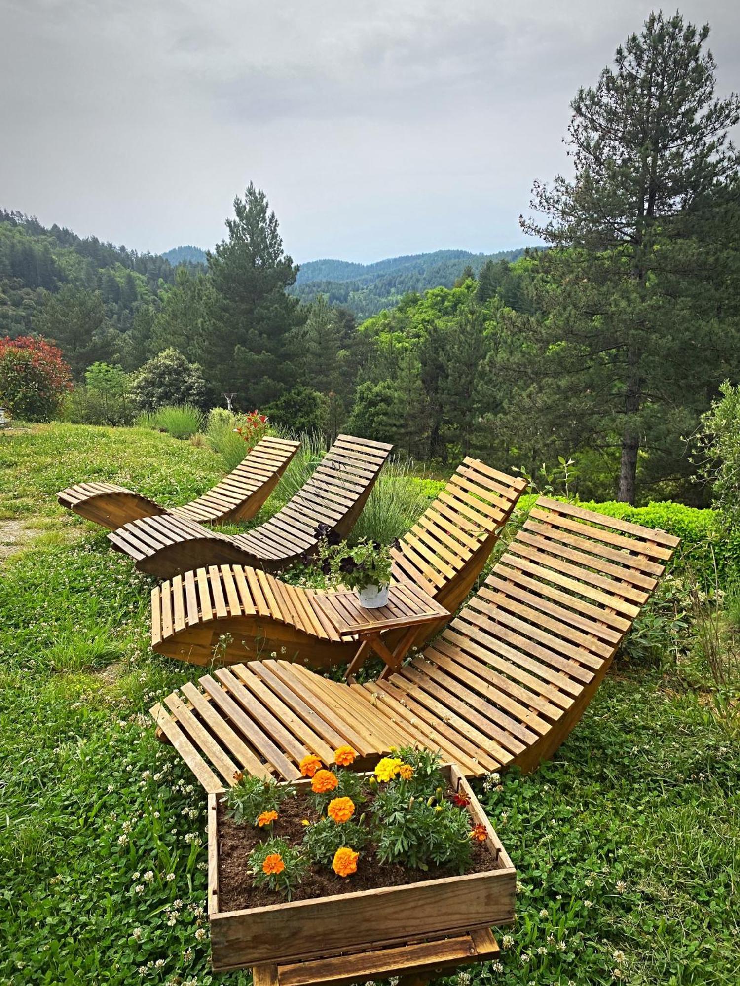 Gite L'Or Des Cevennes Saint-Andre-Capceze エクステリア 写真