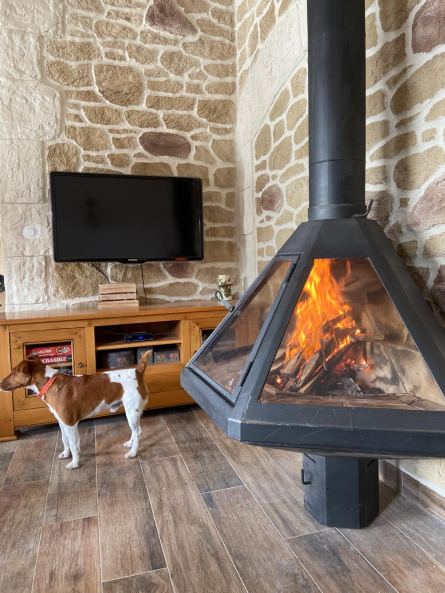 Gite L'Or Des Cevennes Saint-Andre-Capceze エクステリア 写真