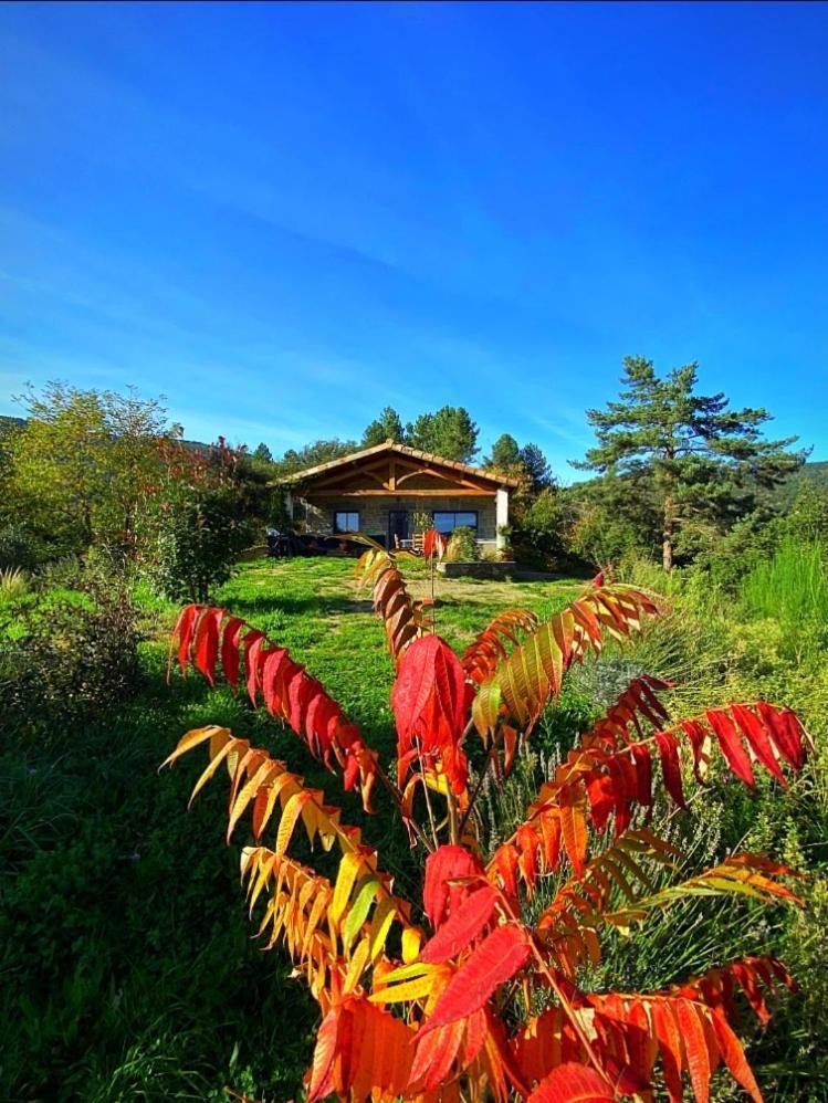Gite L'Or Des Cevennes Saint-Andre-Capceze エクステリア 写真