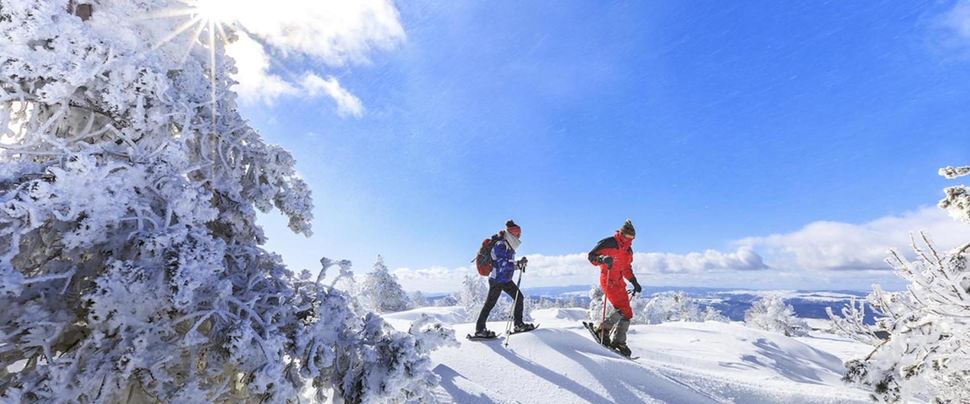 Gite L'Or Des Cevennes Saint-Andre-Capceze エクステリア 写真